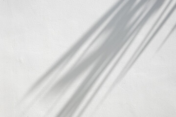 Obraz premium Abstract natural tree branch leaves shadow on white wall background