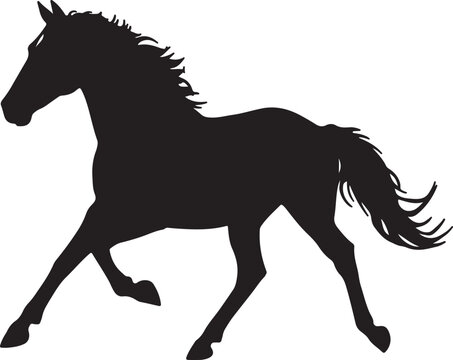Black horse silhouette running gracefully