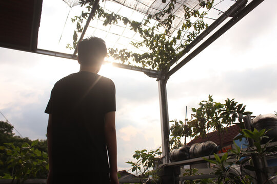 silhouette of Man Standing Under Rooftop Garden Pergola at Sunset &ndash; Urban Gardening Lifestyle