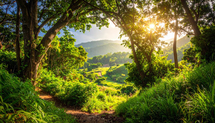 Fototapeta premium Lush green forest landscape with a winding path leading to a sunlit valley at dawn