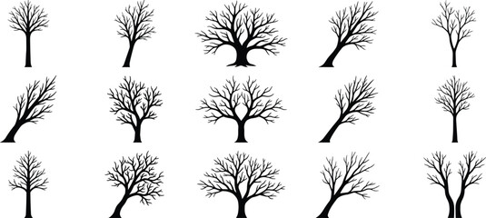 Leafless tree silhouette vector set featuring diverse branching structures, upright and leaning forms, and artistic winter designs © MD AMINUR