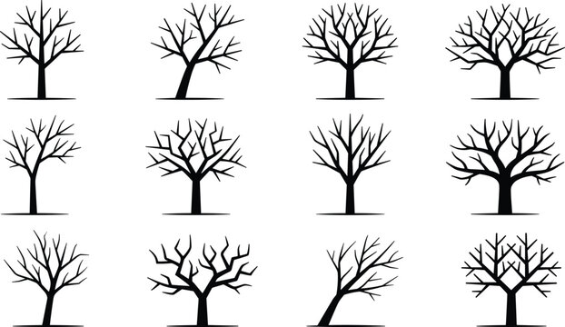 Stylized leafless tree silhouette vector set featuring diverse branching patterns, curved trunks, and artistic winter forest designs