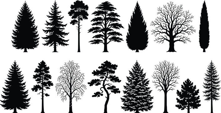 Tree silhouette vector set featuring coniferous, deciduous, and stylized natural forms with varied canopy and branching designs