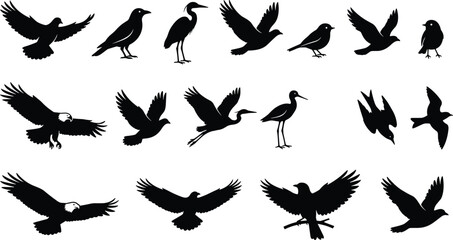 Obraz premium Bird silhouette vector illustration set, diverse species icons with flying and standing poses representing wildlife, freedom and nature themesBird silhouette vector illustration
