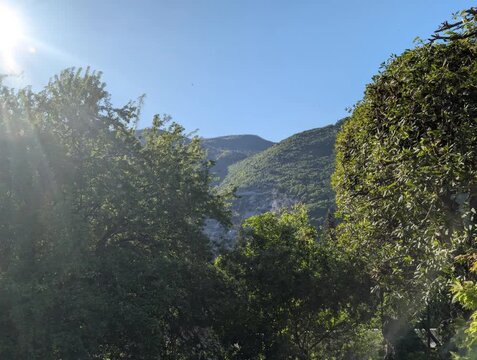 Paesaggio montano con alberi illuminati dal sole e catena montuosa sullo sfondo, avvolta da luce intensa e cielo limpido. Una scena naturale che trasmette tranquillit&agrave; e vitalit&agrave;