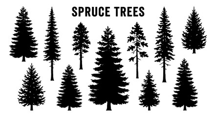 Fototapeta premium Spruce tree silhouette set with pine conifer and forest shape