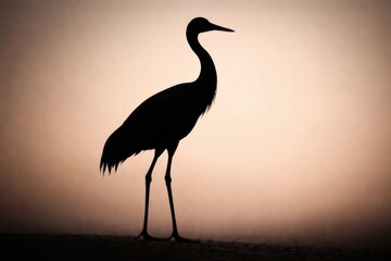 Fototapeta premium Dark crane bird silhouette standing tall with a smooth neutral backdrop