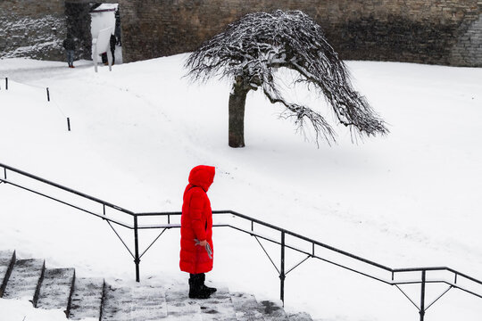 View of a solitary figure in a vibrant red coat stands out against the stark white snow and ancient stone walls, Tallinn, Estonia.