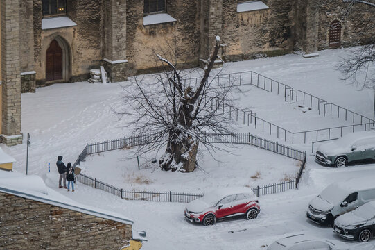 View of a snow-laden courtyard with a bare tree standing guard, while a couple pauses near a stone edifice, amidst cars dusted with snow, Tallinn, Estonia.