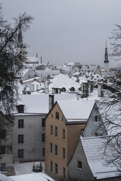 View of snow-dusted rooftops and charming buildings nestle beneath a muted sky, the spires of ancient churches piercing the winter air, Tallinn, Estonia.