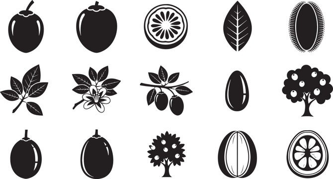 Black and white of fruits leaves and trees coconut orange lemon lime