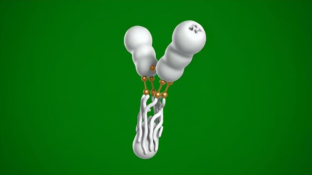 Photorealistic CGI Representation of Immunoglobulin G Antibody Molecule with Detailed Structure on Vibrant Green Background