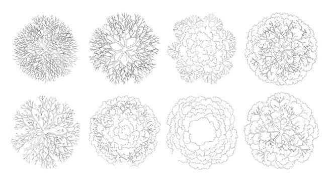 Set of top view tree silhouettes for architectural landscape design