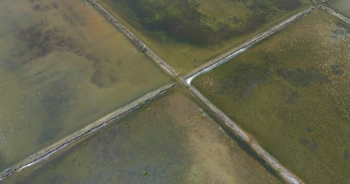 Top down aerial view of geometric salt pans divided by earthen berms, featuring a bright sun reflection on the water.