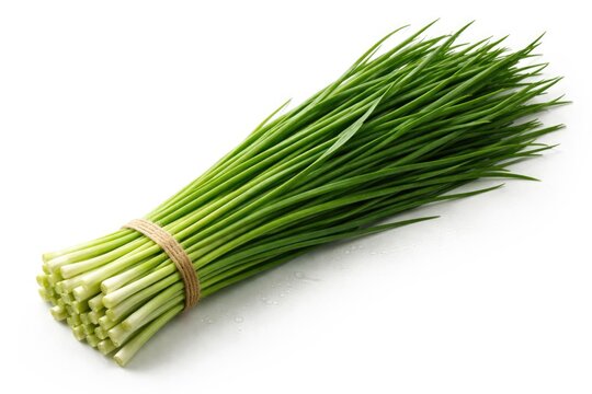 Organic Chinese chives bunch with long green stalks on plain white