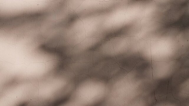 Soft light and shadows from tree branches, plant, foliage and leaves. Morning sunlight and tree shadows blowing by wind reflecting on wall. Summer concept. Product, advertising. . High quality 4k
