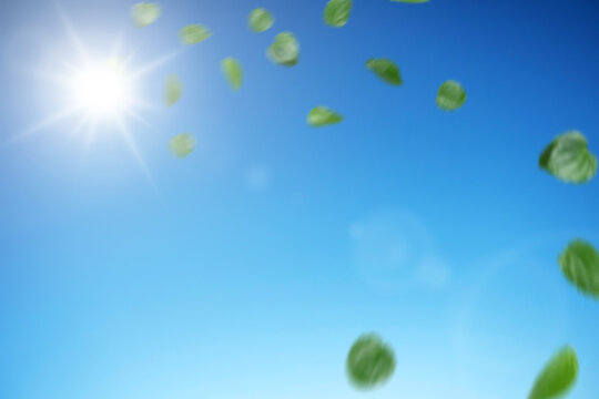 Beautiful spring or summer day with green leaves dancing in the breeze against a bright blue sky and shining sun. Perfect for eco-friendly and nature themes