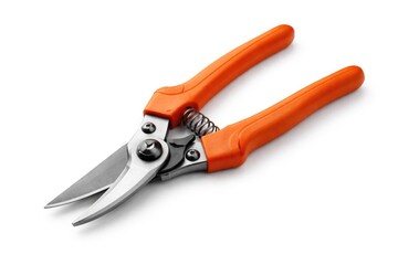 Fototapeta premium Isolated orange handled shears set on a crisp white background