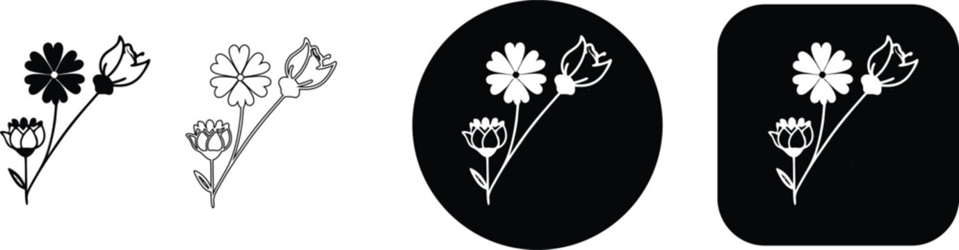 Set of cornflower and wild floral line art icons with various outline styles, real image, no blur, clear image, hd, full hd, photos, isolated white background.