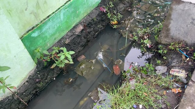 Clogged Urban Drain Filled with Plastic Waste