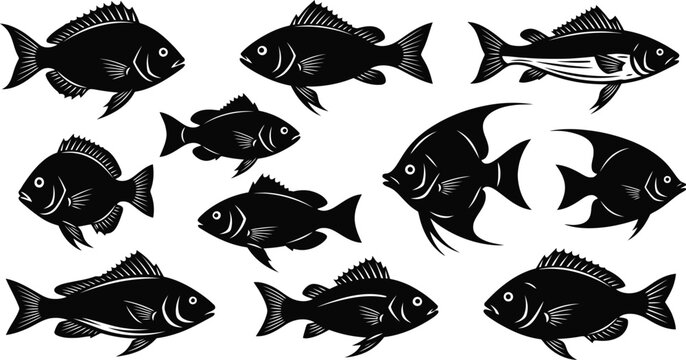 Black and white fish collection a vintage style aquatic illustration