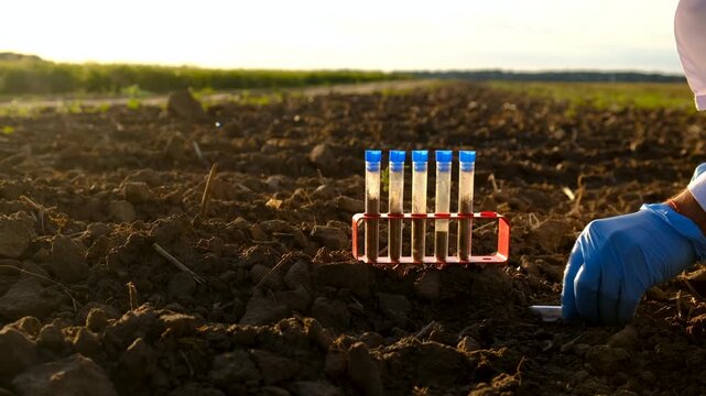 Field soil samples for analysis. Selective focus.