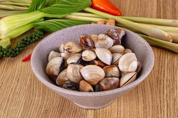 Raw fresh wild clams mollusc © Andrei Starostin