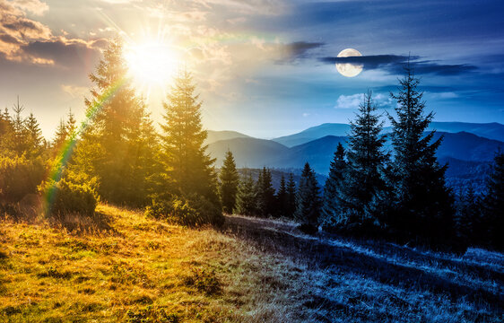 day meet night. hillside with coniferous forest on a meadow in mountain landscape on autumn equinox. sun and moon over wonderful view surrounded by spruce trees on the slope. transylvania wonderland