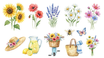 Summer floral garden set, watercolor botanical elements. Collection of Vector illustrations for invitation, card, poster, banner, decoration © maria