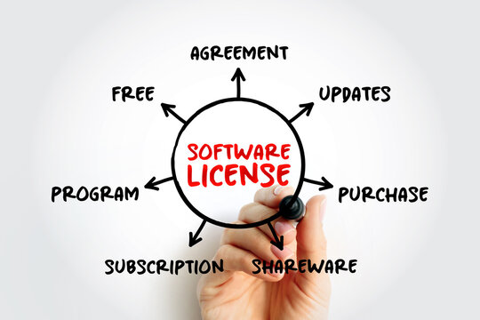 SOFTWARE LICENSE mind map showing agreement, updates, purchase, shareware, subscription, program, and free terms. Hand drawing legal and technology licensing concept diagram