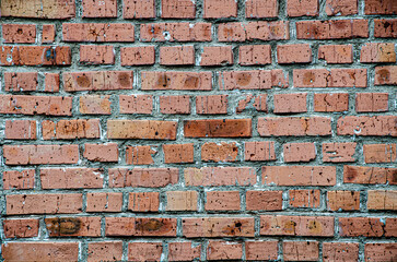 Fototapeta premium old brick wall