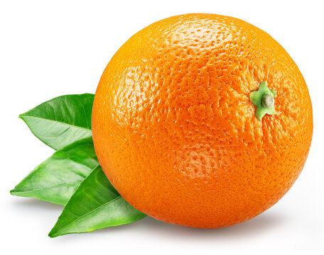 One ripe orange fruit with orange tree leaves isolated on a white background. Stacking image with high resolution.