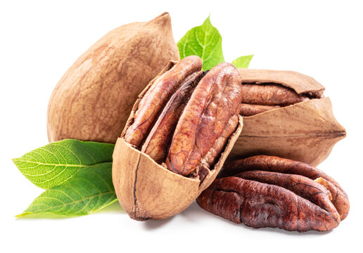 Pecan nuts with open pecans isolated on a white background, representing organic healthy food and natural ingredients. Clipping path