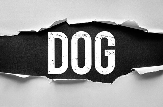 Torn paper reveals the word DOG in bold, distressed letters against a textured background. Creative concept for pet themes, training, adoption, loyalty, or animal-related messaging