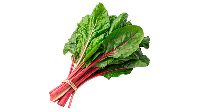 Fresh bunch of Swiss chard with green leaves and red stems placed on a white background for display and cooking  isolated on transparent background	