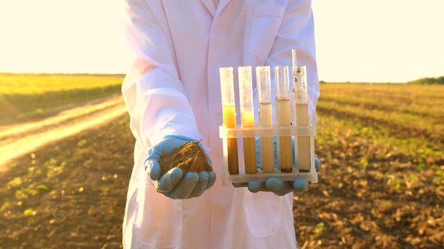 Field soil samples for analysis. Selective focus.