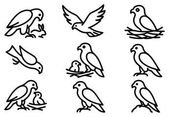 Fototapeta premium Bird icons with dove nest chick outline