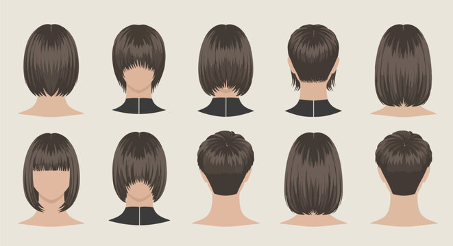 Assorted female hairstyles displayed on head portraits.