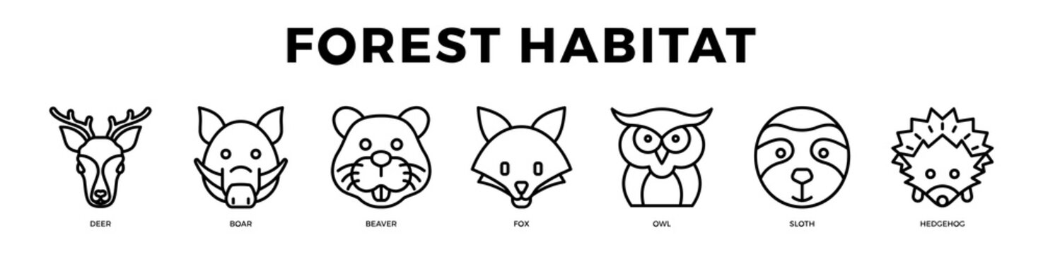 Forest Wildlife Habitat Nature Collection Set