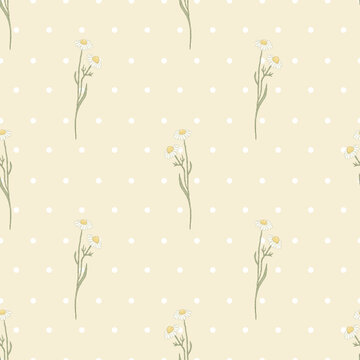 Seamless pattern with delicate daisies and white polka dots