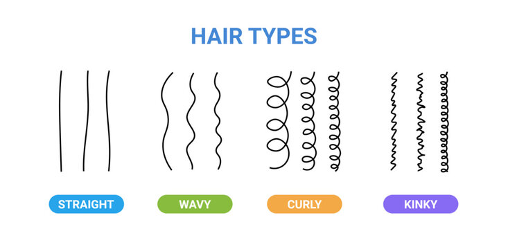 Hair types curly straight vector wavy icon. Kinky afro hair type line icon