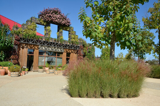 Terra Botanica