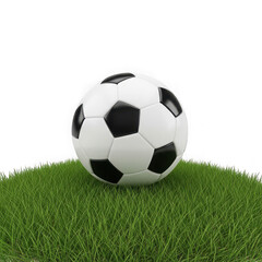 Fototapeta premium A soccer ball sitting on green grass