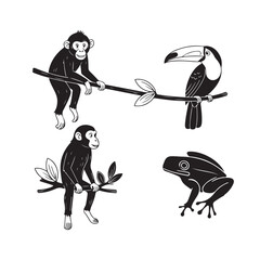 Fototapeta premium Black and white vector illustration set of tropical jungle animals including monkeys toucan and frog isolated on white background