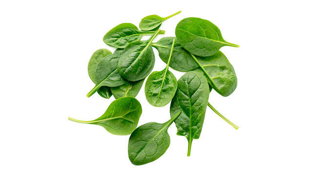 Fresh spinach leaves on a white surface isolated on transparent background