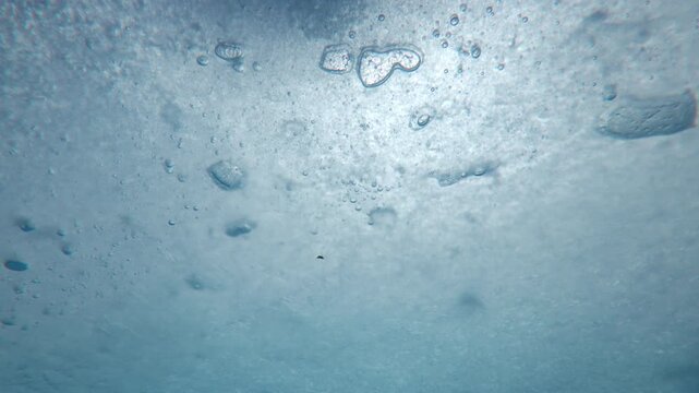 Details of thin edge of white spring melt ice drifting downstream, sun barely shining through the ice on a sunny day, backlight. Underwater view of ice texture with frozen air bubbles 