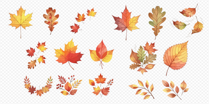 Autumn leaves watercolor collection with various fall foliage designs and vibrant seasonal colors.