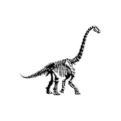 Fototapeta premium black and white illustration of a hand drawn dinosaur skeleton in grunge style, vintage art vector