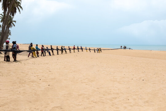 Ganvie, Benin - 14 April 2023: View of a long line of people pulling a large net along the sandy beach under a bright, hazy sky, a scene of communal effort.