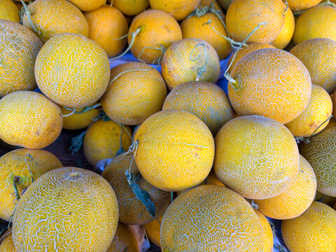 Fresh melons stacked at a market stand during a sunny day in summer